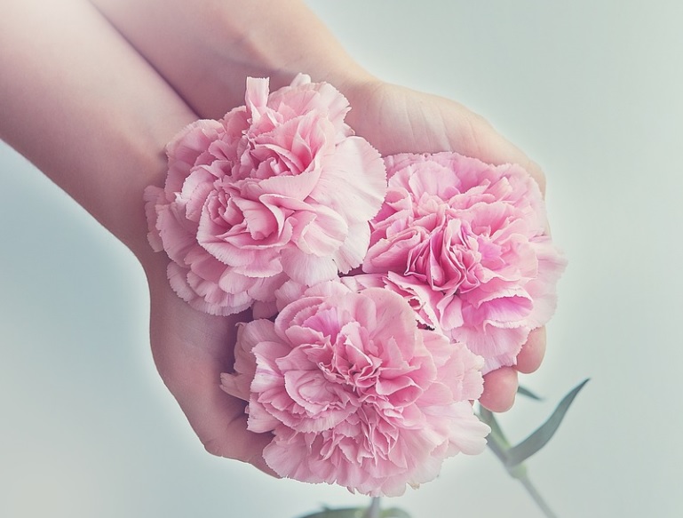 cremation services in Geddes, NY