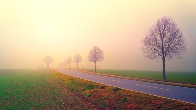 cremation services in Skaneateles