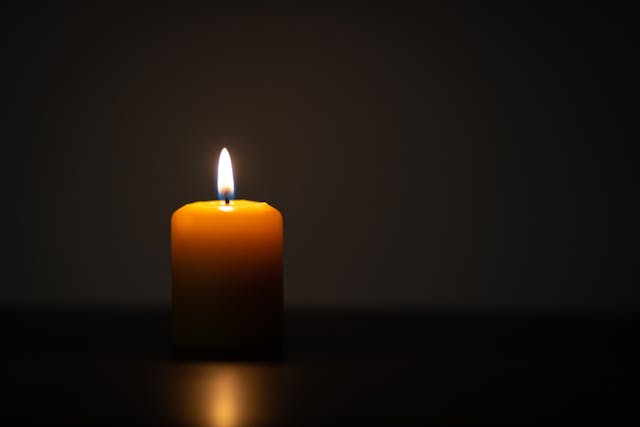 cremation services Skaneateles NY 1