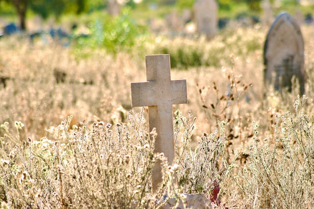 funeral homes Skaneateles NY 2